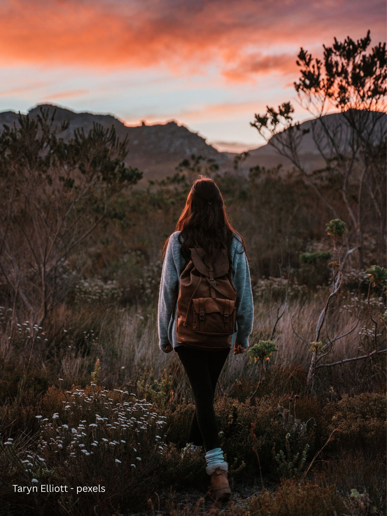 Wild Fynbos